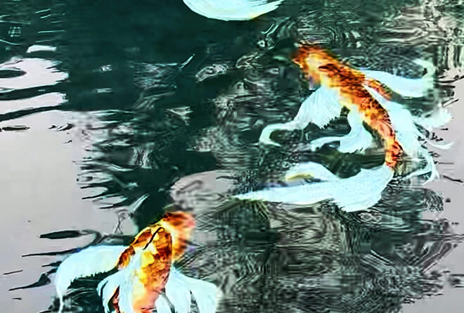 Allison Eden Studios Koi Fish Mosaic in Pool