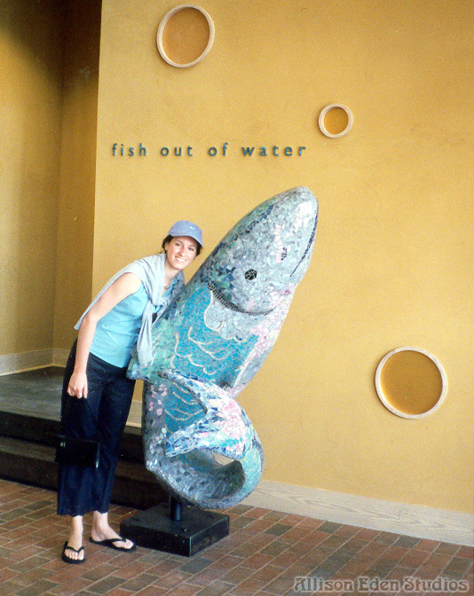 89 Allison Eden Studios fish outta water wm