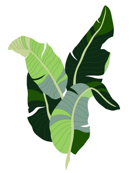 1 Allison Eden Studios Banana Palm Leaf Carpet close up